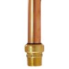 Tectite By Apollo 1 in. Brass Push-to-Connect x Male Pipe Thread Adapter FSBMA1